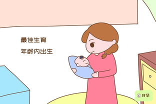 男性群体伴侣饮食营养成分提议——从营养成分学角度探讨