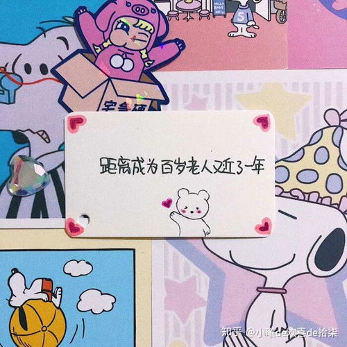 到底有没有那种让人想哭又想笑的生日旅游定制方案？