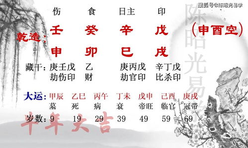 乙木日干子月身弱之命理总论与运势深度解析