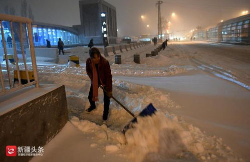 社区力量与抗雪行动