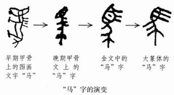 3. 黄姓——金黄色的家族光环？