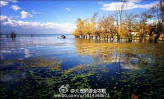 晒景旅游目的地：那些被滤镜误导的梦与现实