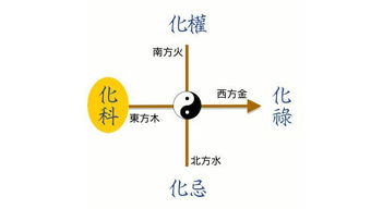 1．基本术语及其功能阐释