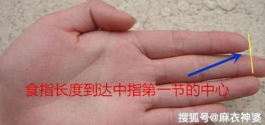 三、 四指等长惟小指最短：劳碌命之典型表现