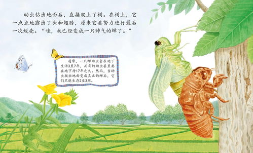 有哪些十二生肖寓言故事可依成现代故事？