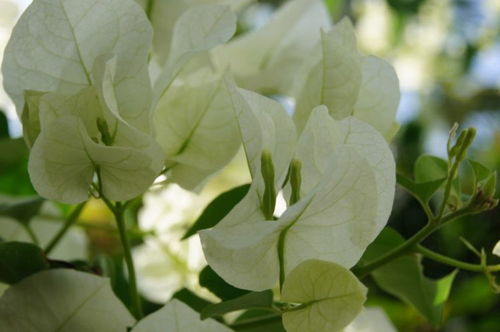 6月旧梦以醒，前任走远，四大星座是否就此分别，各寻良缘各自飞？