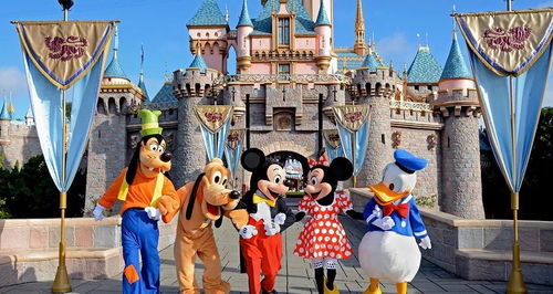 为什么迪斯尼的行李问题总是这么难解决？