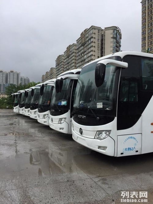 商务篇：外资企业考察行, 高端租车的“隐形加分项”