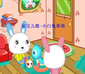 探究背景与问题提出