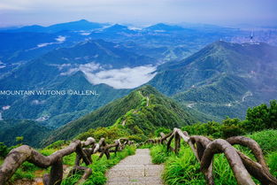 深圳梧桐山旅游攻略：别再跟风爬“小富士山”，  这才是本地人私藏的玩法