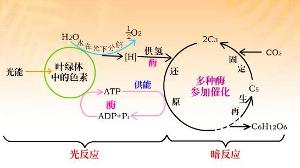 2. 色彩与光照的协同效应