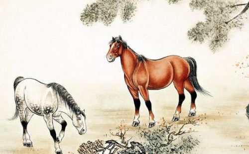 1978年属马男性2026年运势和全年运程具体详解是怎样的？