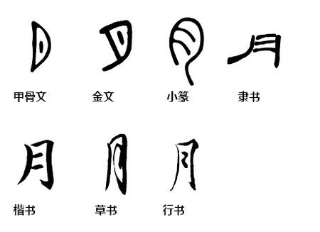 甲骨文与金文：追溯古代“刀”字形演变及其文化内涵