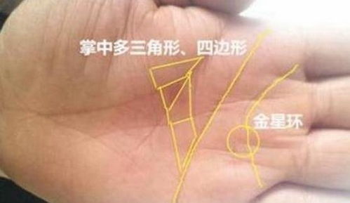 1．厚实而饱满的手掌——“富贵之相”先声夺人