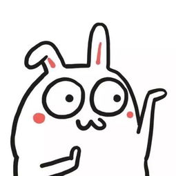 紫微斗数官禄宫：看事业还是看对象？笑死！