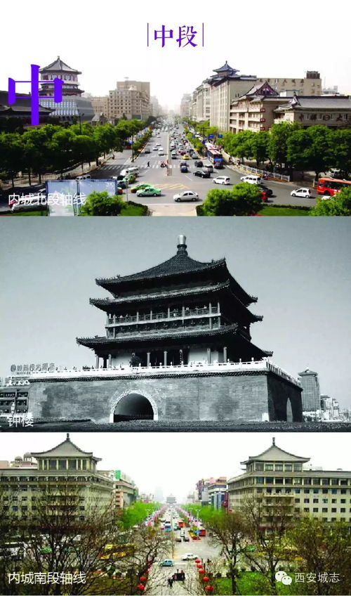 祖荫与龙脉：家族兴衰的根基