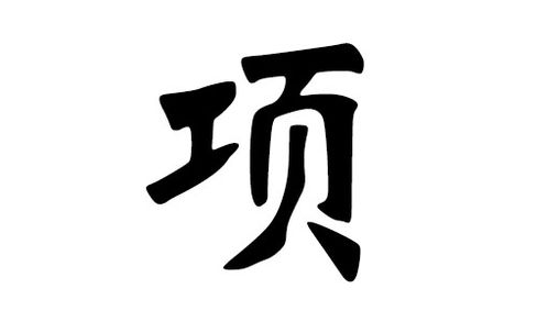 项姓男孩单字名字的特点