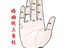 公印纹：政府部门打交道的人生赢家