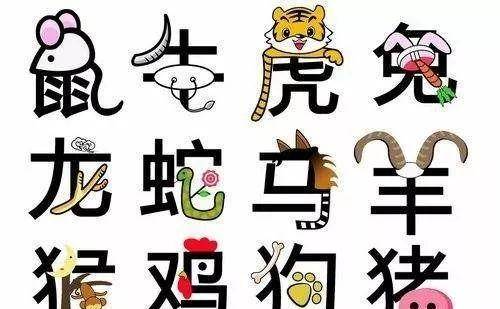 生肖兔：以柔克刚与高情商杠杆的操盘手