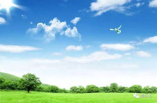 心理医生也解释不了的破事