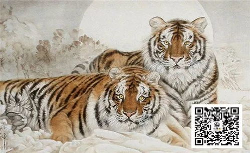 十二生肖中，虎的一生有哪些特别重要的贵人？