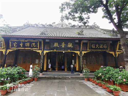 逛街购物：国际大牌扎堆儿