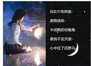 “月”和“星辰”：浪漫的堆砌