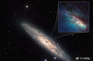 超大质量黑洞的胃口