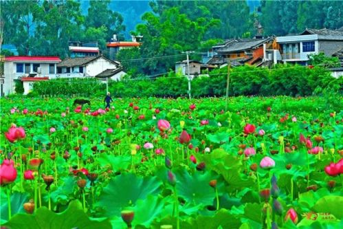 初到大姚：第一印象有点复杂