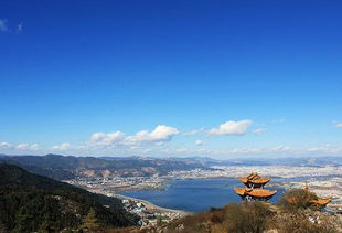 KUNMING 昆明（春城温柔+花卉市场+吃瓜子）