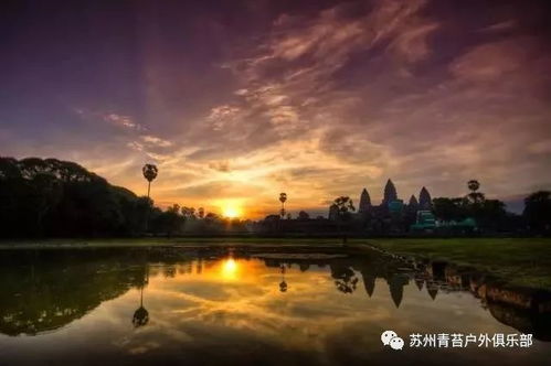 洞里萨湖不是景区!它tm是活人过日子地方!