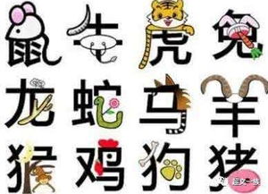 如何免费收听包含十二生肖财运风水的小说全集？