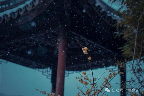 星盘分析对亡灵归宿的影响