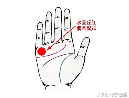 二、 水星丘饱满对异性欢迎度的决定作用