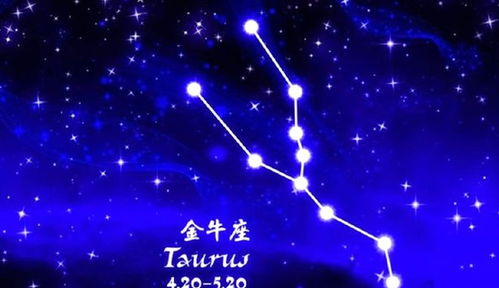 人际关系与协作策略