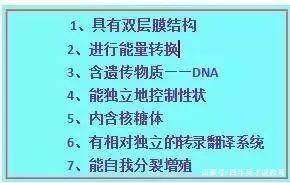 子时