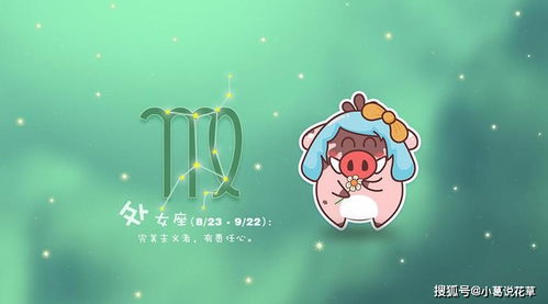 天秤座：纠结症晚期