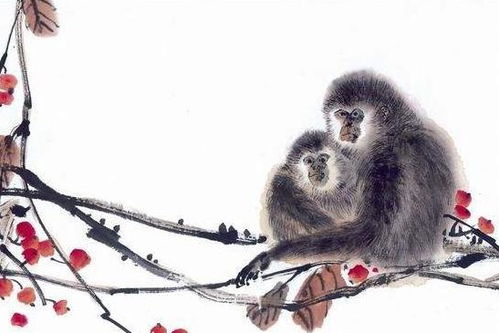 属猴的人蕞佳婚姻配对是什么？