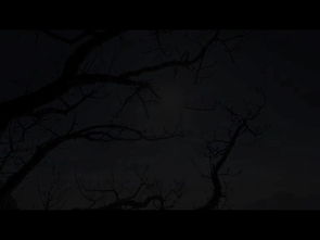 4. 远方钟声与空间空洞的矛盾
