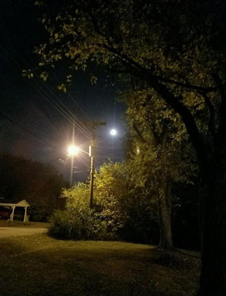 三、 风水学与生肖星座视角下之可靠预警机制