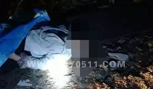 将泪珠汇聚成河：生肖星座与风水解读