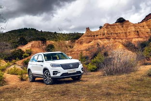 2026年2月买车提车吉日6月份，有没有推荐的吉日呢？