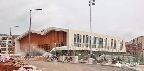 交通：迷路才是旅行的真谛（以及我糟糕的方向感）