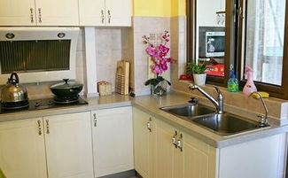 避免西方：金克火的潜在风险