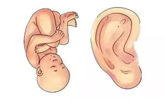 三、 病理性原因：潜在疾病的早期征兆