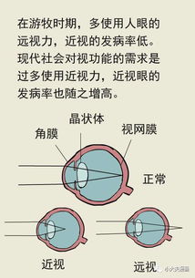 寅时的生理与心理特征——从中医学视角审视