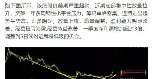 2.1 “放着阳关道不走”：枭神夺食带来的错位选择