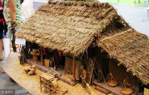 二、 植物生理需求与空间布局的相互制约