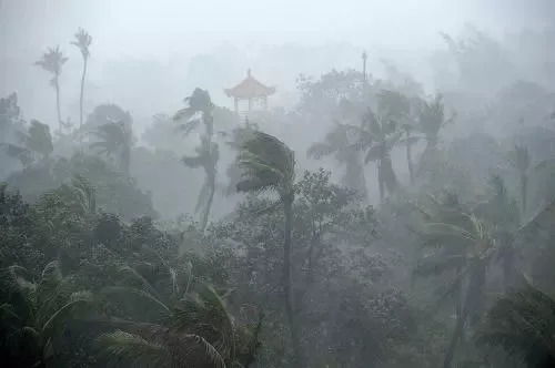 第一章：事件背景与初步留意（150字）