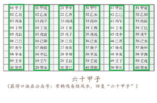癸酉一一爱喝茶,爱喝酒,爱喝水：感性细腻与享乐主义